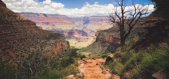 Grand Canyon with Kids: 10 Awesome Things to Do 5