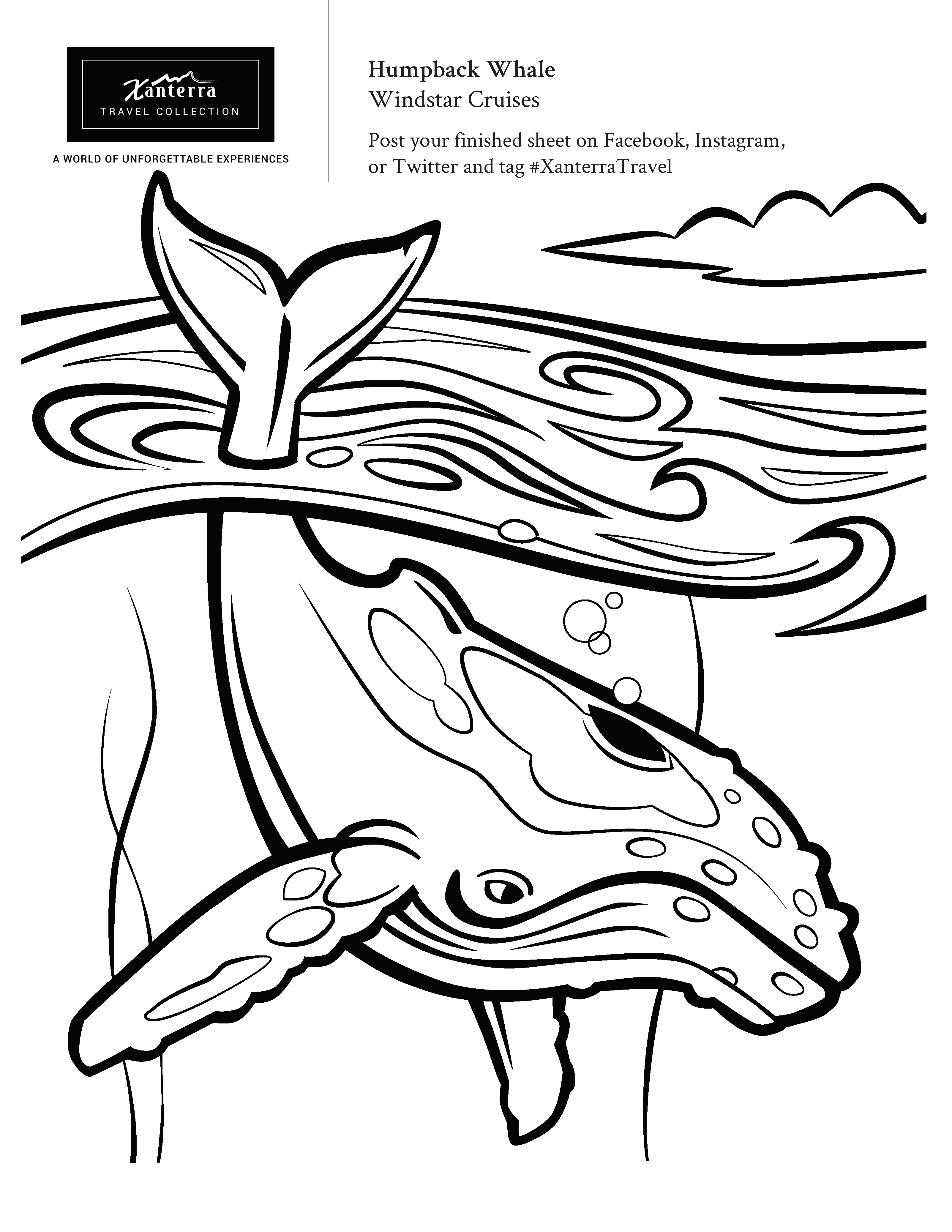 rocky mountain bighorn sheep coloring page