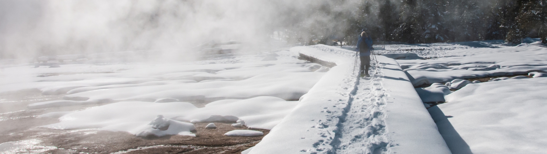 Xanterra Yellowstone