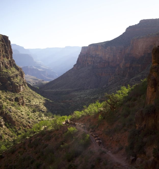 Grand Canyon bottom